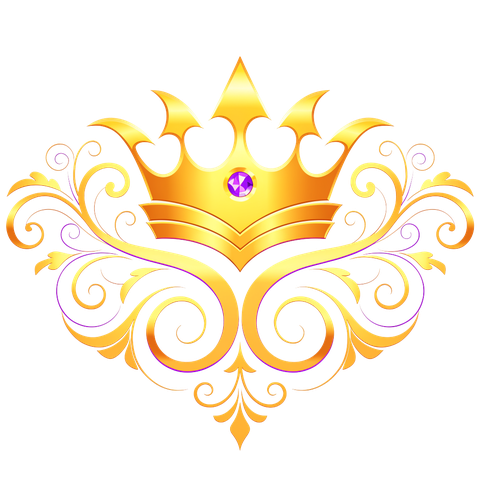SyncVybe Pro crest